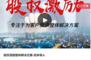 【19[红包]·F0744股权激励整体解决方案-总体导入】