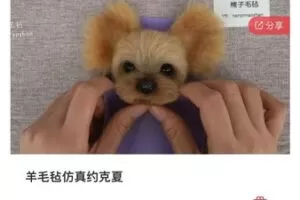 【39[红包]·S8105羊毛毡仿真约克夏】