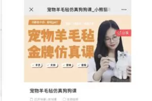 【39[红包]·S8104宠物羊毛毡仿真狗狗课】