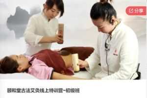 【29[红包]·F0891颐和堂古法艾灸线上特训营~初级班】