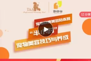 【19[红包]·F0719宠物快速美容陪练营】