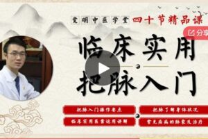 【12[红包]·F070040节临床把脉入门课】