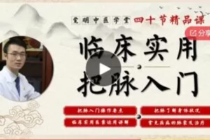 【12[红包]·F070040节临床把脉入门课】