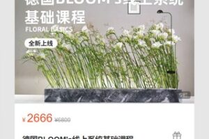 【59[红包]·S7141德国BLOOM’s线上系统基础课程】