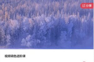 【26[红包]·F1043视频调色进阶课】