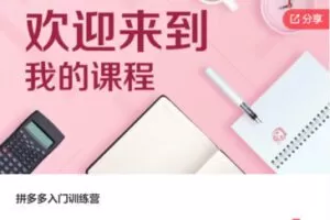 【35[红包]·F1029拼多多入门训练营】