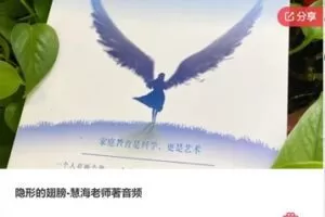 【69[红包]·F1273隐形的翅膀-慧海老师著音频】