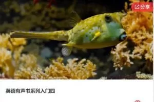 【20[红包]·F1111英语有声书系列入门四】