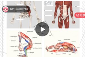 【19[红包]·F1290肖相如老师讲伤寒全本篇】