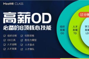 【20[红包]·F1195【缺多节语音直播】视频课 | 高薪OD，组织发展必备的8项核心技能】