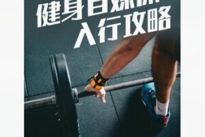【12[红包]·S8419健身自媒体入行攻略】