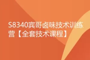 【49[红包]·S8340宾哥卤味技术训练营【全套技术课程】】