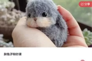 【26[红包]·S8129胖兔子钩针课】