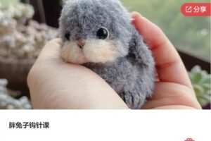 【26[红包]·S8129胖兔子钩针课】
