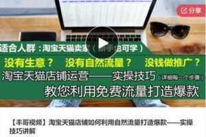 【27[红包]·S7380【丰哥视频】淘宝天猫店铺如何利用自然流量打造爆款——实操技巧讲解】
