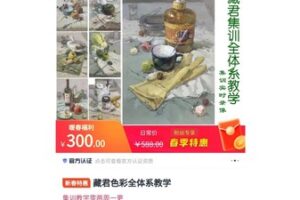 【12[红包]·S5467藏君色彩全体系教学】