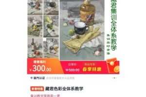 【12[红包]·S5467藏君色彩全体系教学】