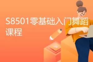 【49[红包]·S8501零基础入门舞蹈课程】