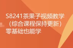 【39【红包]·S8241茶果子视频教学（综合课程保持更新）零基础也能学】