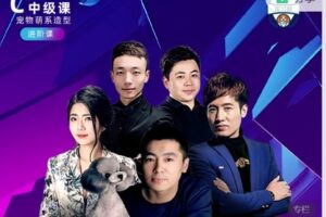 【19[红包]·S7130C+中级课 ▏ 宠物萌系造型进阶课】