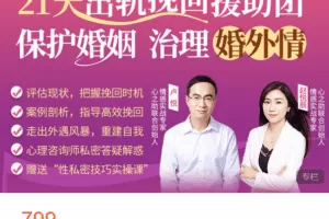 Z6166-心之助-21天出轨挽回保护婚姻治理婚外情 捐赠9.9