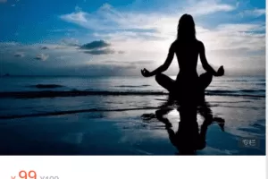 Z6166-心之助-冥想课 捐赠9.9