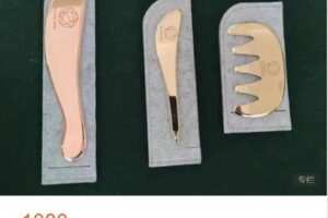 【捐赠[红包]49.99·《AL5213-芳香匠人-刮痧理论》】
