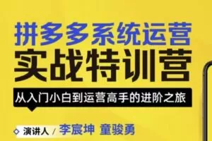 捐赠29.9[红包]·D0688-2023《拼多多爆款打造实战特训营》 【
