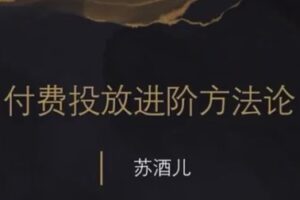 捐赠29.9[红包]·D0689-2023《苏酒儿 付费投放进阶课程》