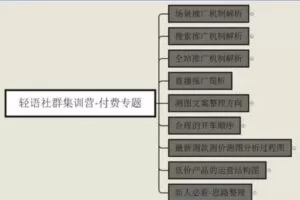 捐赠29.9[红包]·D0715-2023《轻语10节拼多多推广入门》
