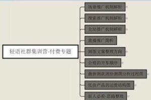 捐赠29.9[红包]·D0715-2023《轻语10节拼多多推广入门》