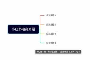 捐赠29.9[红包]·D0733-2023《小红书电商运营入门到精通》