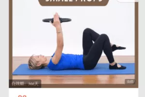 【捐赠8.8·《Z5867-中瑛学院-垫上小器械教学》】