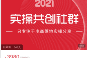 【捐赠79.9·《Z6045-【未见】無山电商数据中心-未见实操共创社群【未见堂】》】