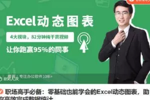 【捐赠[红包]5.80·《Z7104-lizhi-职场高手必备：零基础也能学会的Excel动态图表，助你高效完成数据统计》】