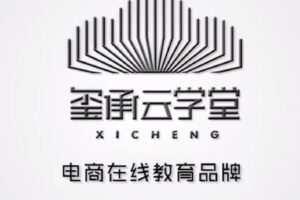 【捐赠[红包]29.90·《D0679-大措施，实现电商团队的快速崛起》】