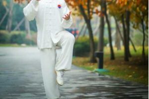 【捐赠[红包]9.90·《AL5342-站桩精讲系列课程_帝殊太极禅～王伟锋》】