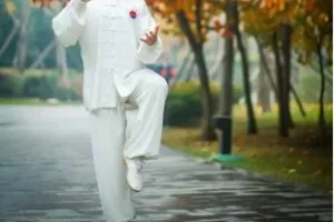 【捐赠[红包]9.90·《AL5342-站桩精讲系列课程_帝殊太极禅～王伟锋》】