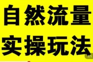 拼多多自然流量天花板，拼多多自然流的实操玩法，自然流量是怎么来的，如何开车带来自然流等知识