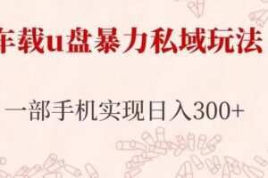 车载u盘暴力私域玩法，长期项目，仅需一部手机实现日入300+