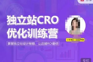 独立站CRO优化训练营，掌握独立站设计秘籍，打造高转化的独立站，让店铺ROI翻倍