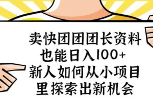 卖快团团团长资料也能日入100+新人如何从小项目里探索出新机会