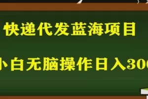 2023最新蓝海快递代发项目，小白零成本照抄也能日入300+