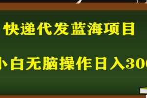 2023最新蓝海快递代发项目，小白零成本照抄也能日入300+