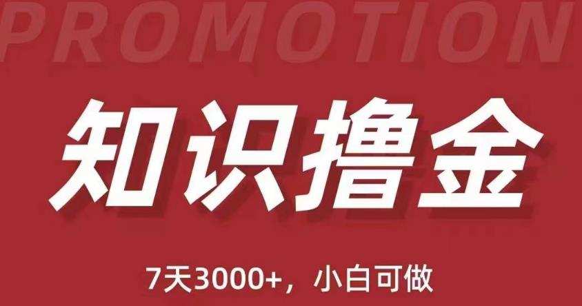 抖音知识撸金项目:简单粗暴日入1000+执行力强当天见收益(教程+资料)