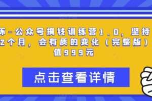 坏坏-公众号搞钱训练营1.0，坚持个1-2个月，会有质的变化（完整版）价值999元