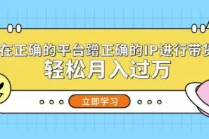 在正确的平台蹭正确的IP进行带货，轻松月入过万