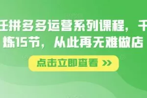 纪主任拼多多运营系列课程，千锤百炼15节，从此再无难做店
