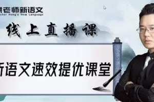 洪老师新语文 初中语文2021春季系统班