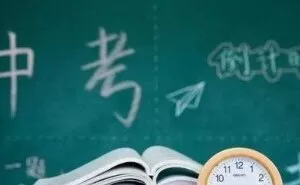 中考数学42个重难考点 分类掌握稳稳110+